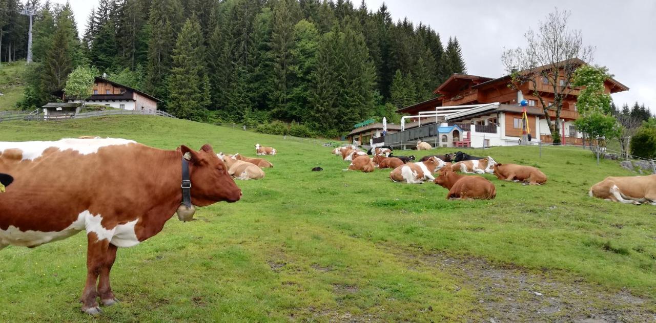 Berghaus Koglmoos Hotel Auffach Eksteriør billede