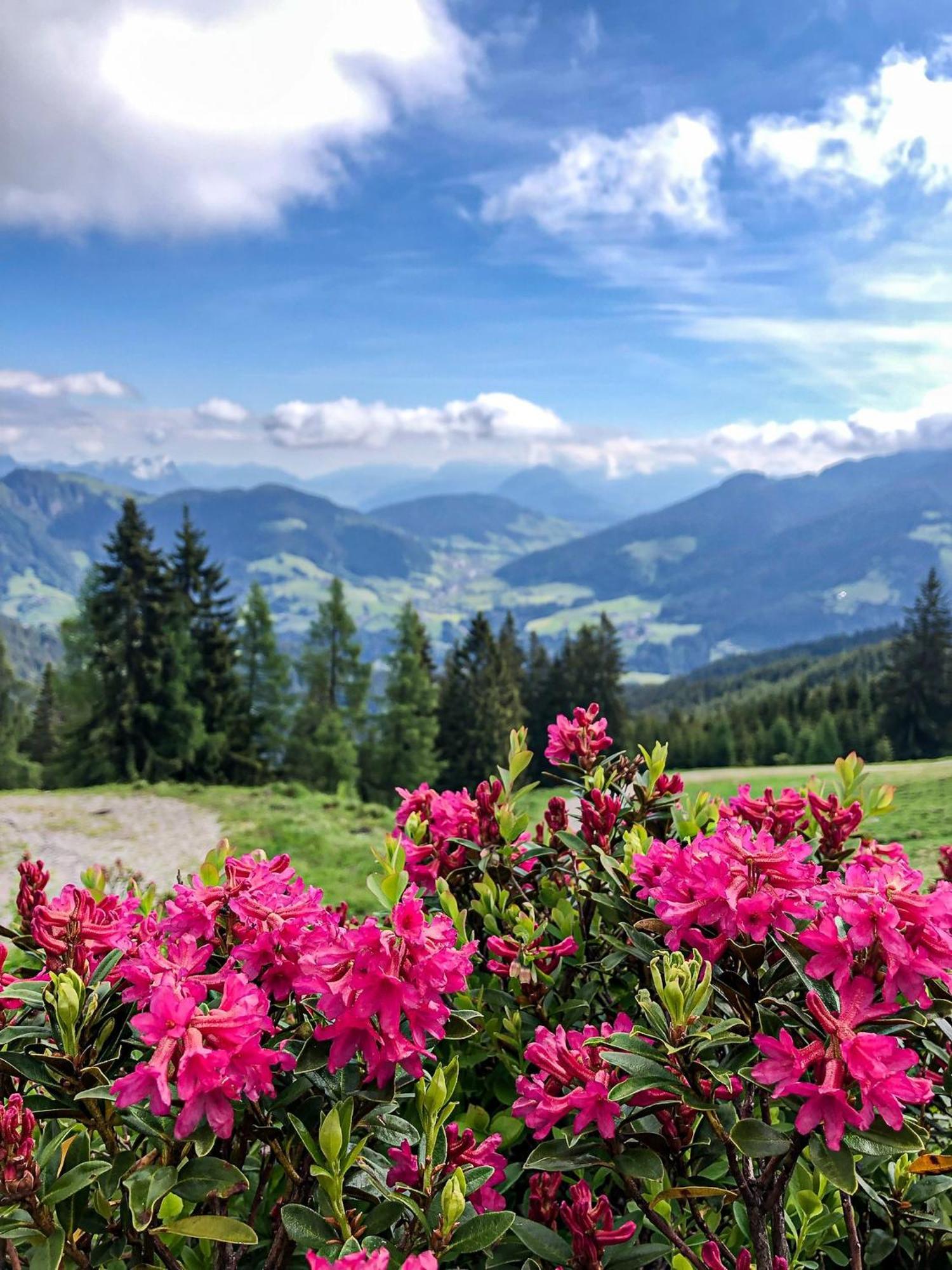 Berghaus Koglmoos Hotel Auffach Eksteriør billede